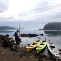 Bold Coast Sea Kayaking Expedition