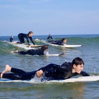 Cape Cod Ocean Bonanza