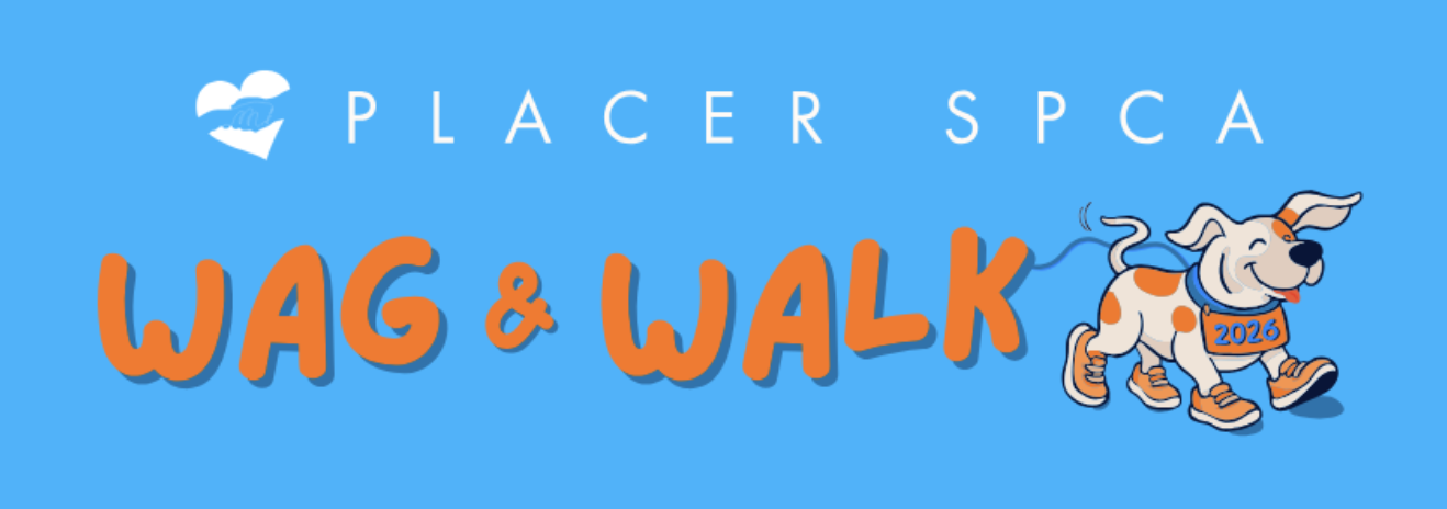 Placer SPCA Wag & Walk 2026 event artwork