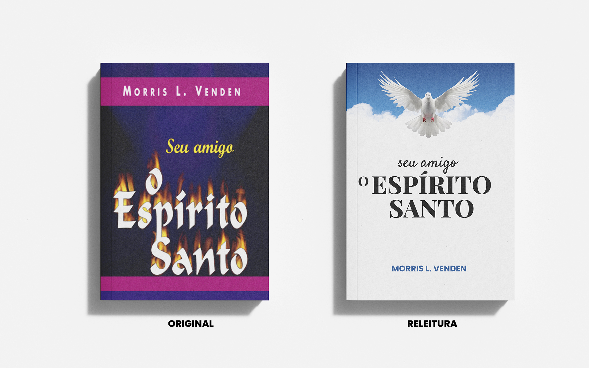 Promotional material for the book