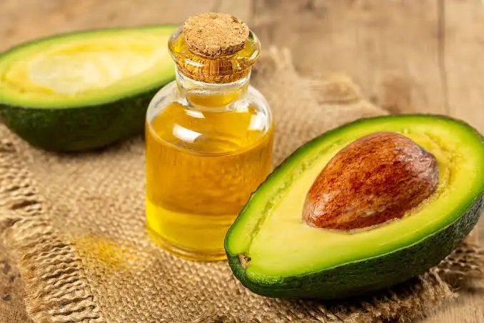 Kenya Avocado Season 2025: What Importers Need to Know