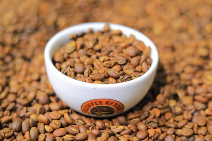 Sustainable Sourcing in Kenya: What Buyers Need to Know