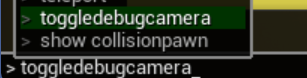 ToggleDebugCamera_wzo26x