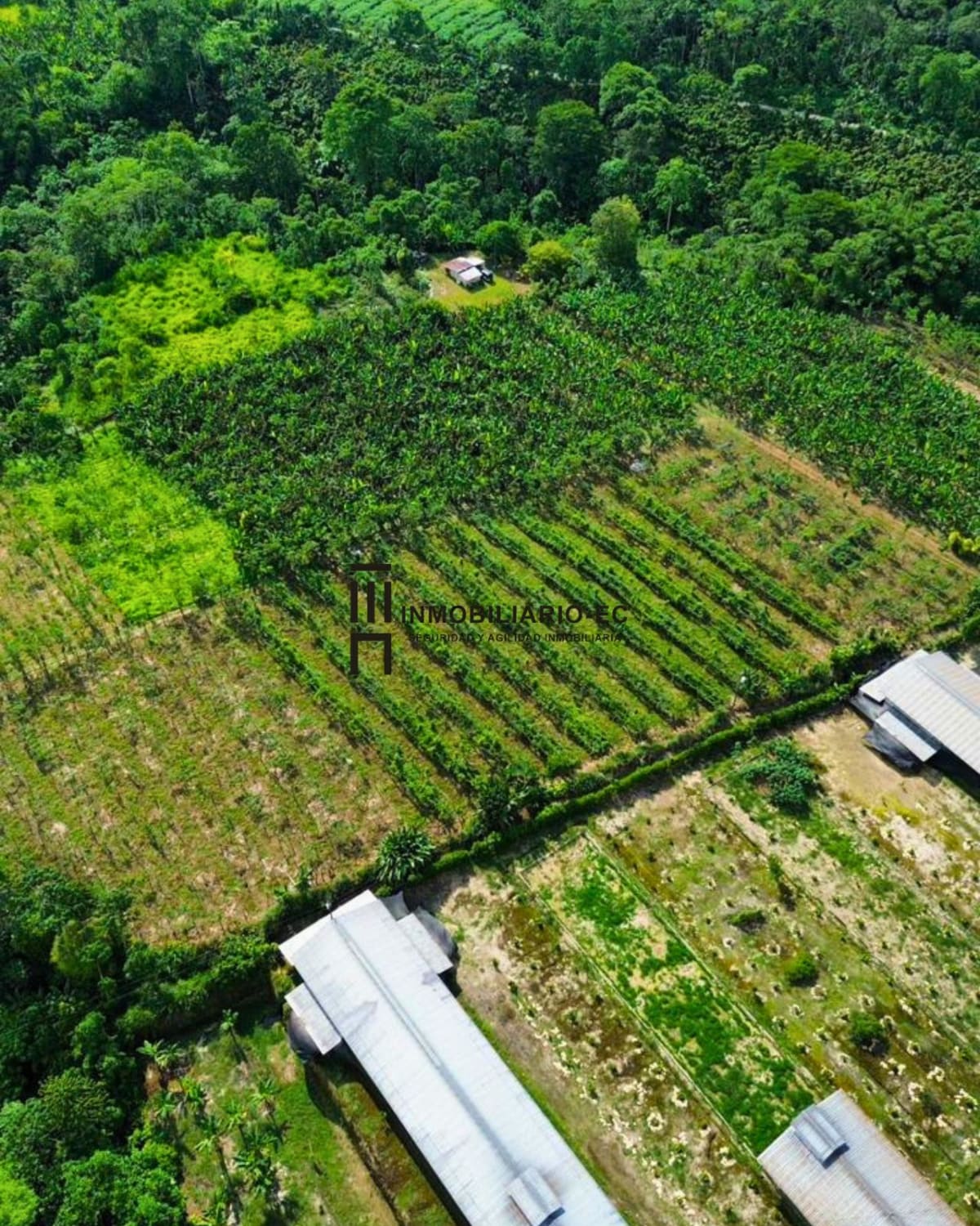 8 Hectareas Via Chone en Santo Domingo