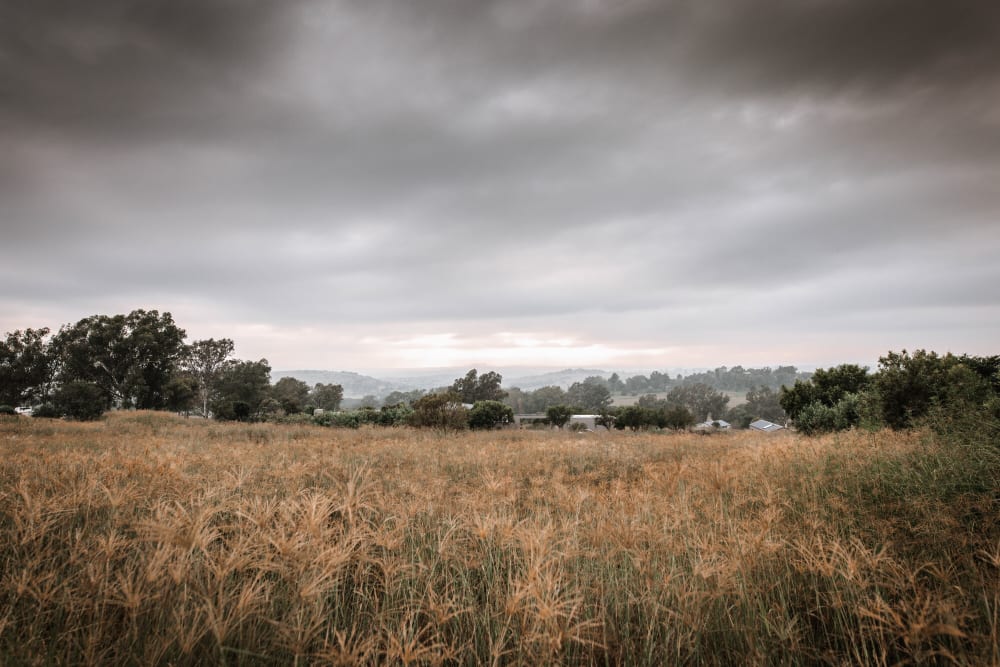 Monaghan Farm landscape