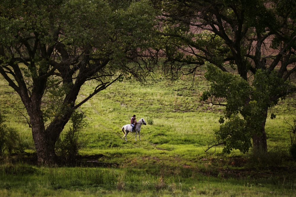 Monaghan Farm stables