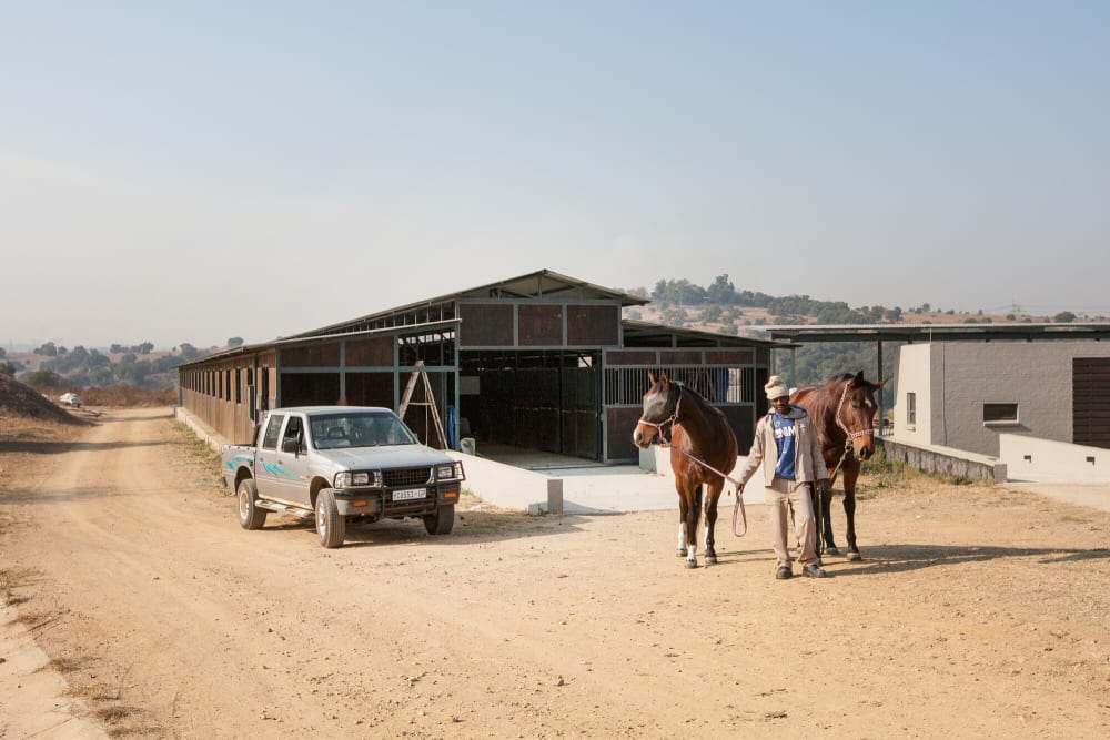 Monaghan Farm stables