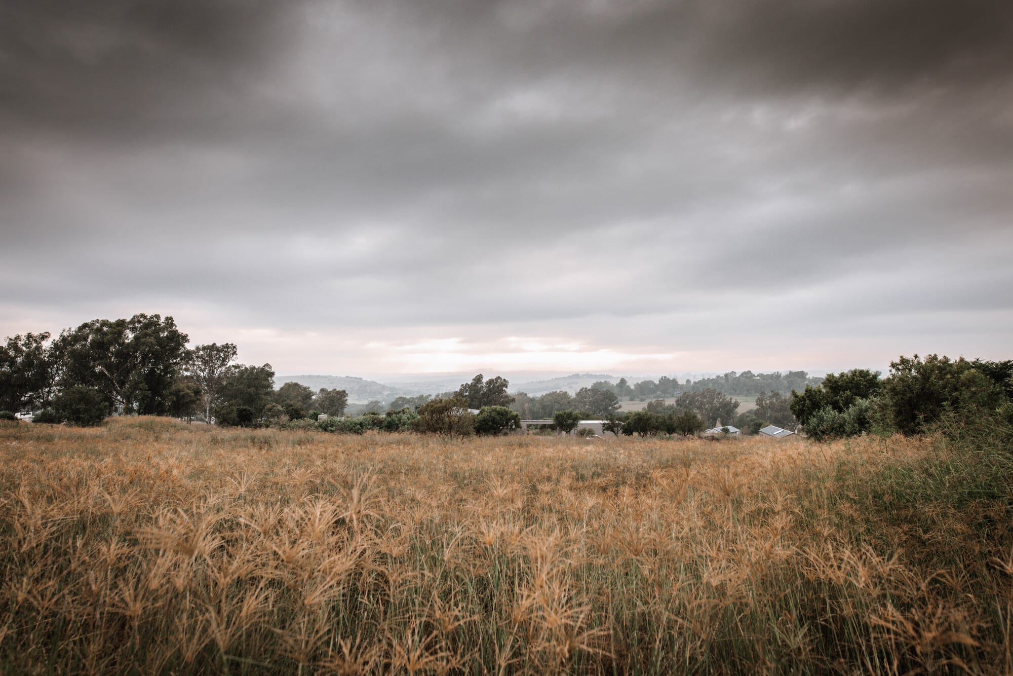 Nature at Monaghan Farm