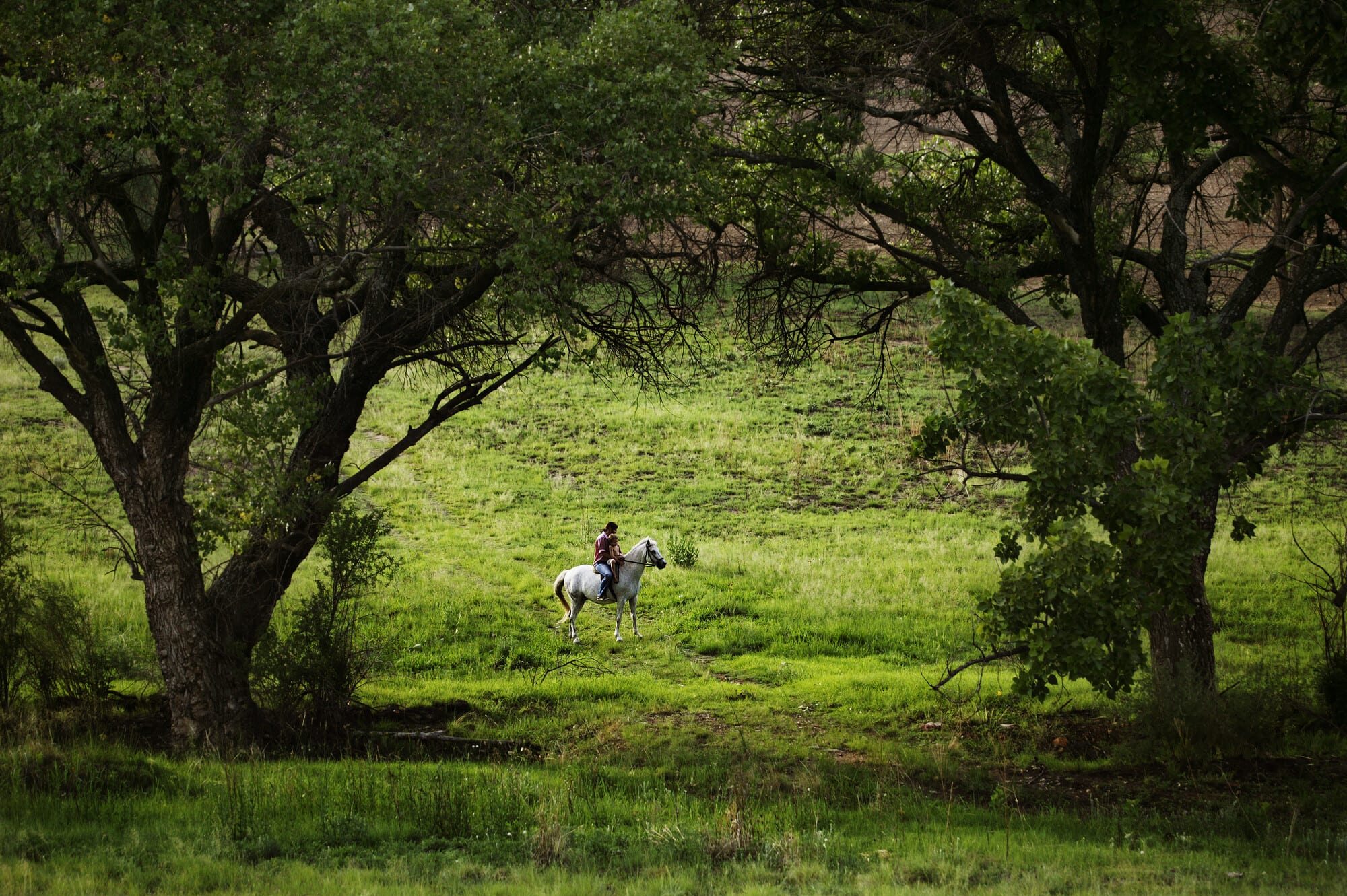 Nature at Monaghan Farm