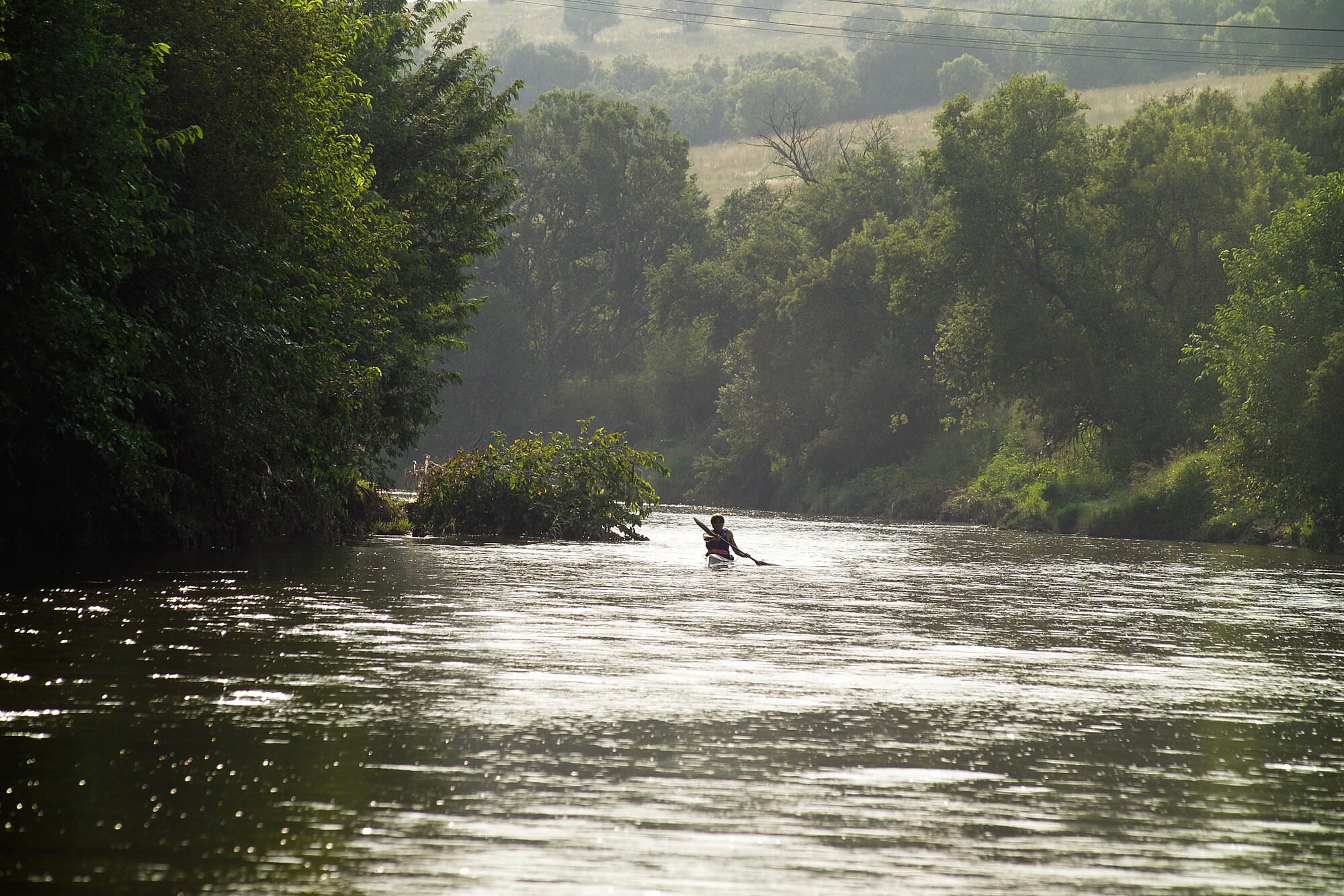 Nature at Monaghan Farm