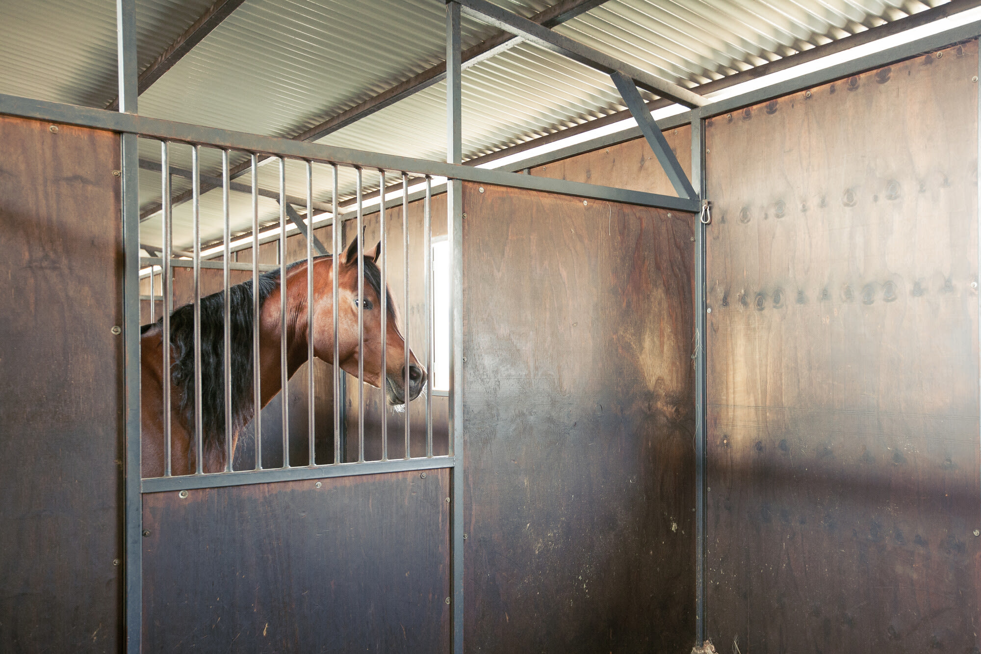 Monaghan Farm stables