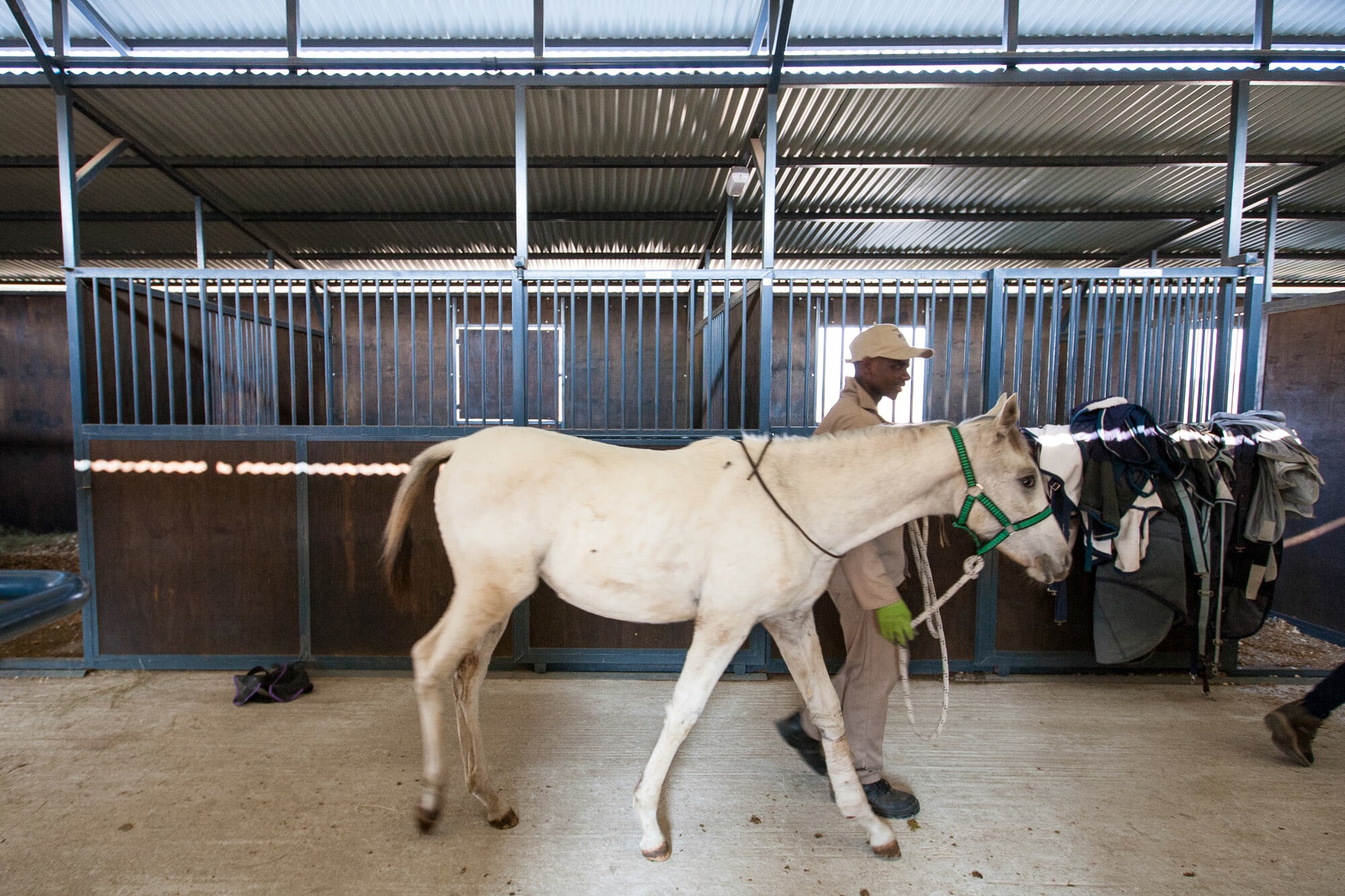 Monaghan Farm stables