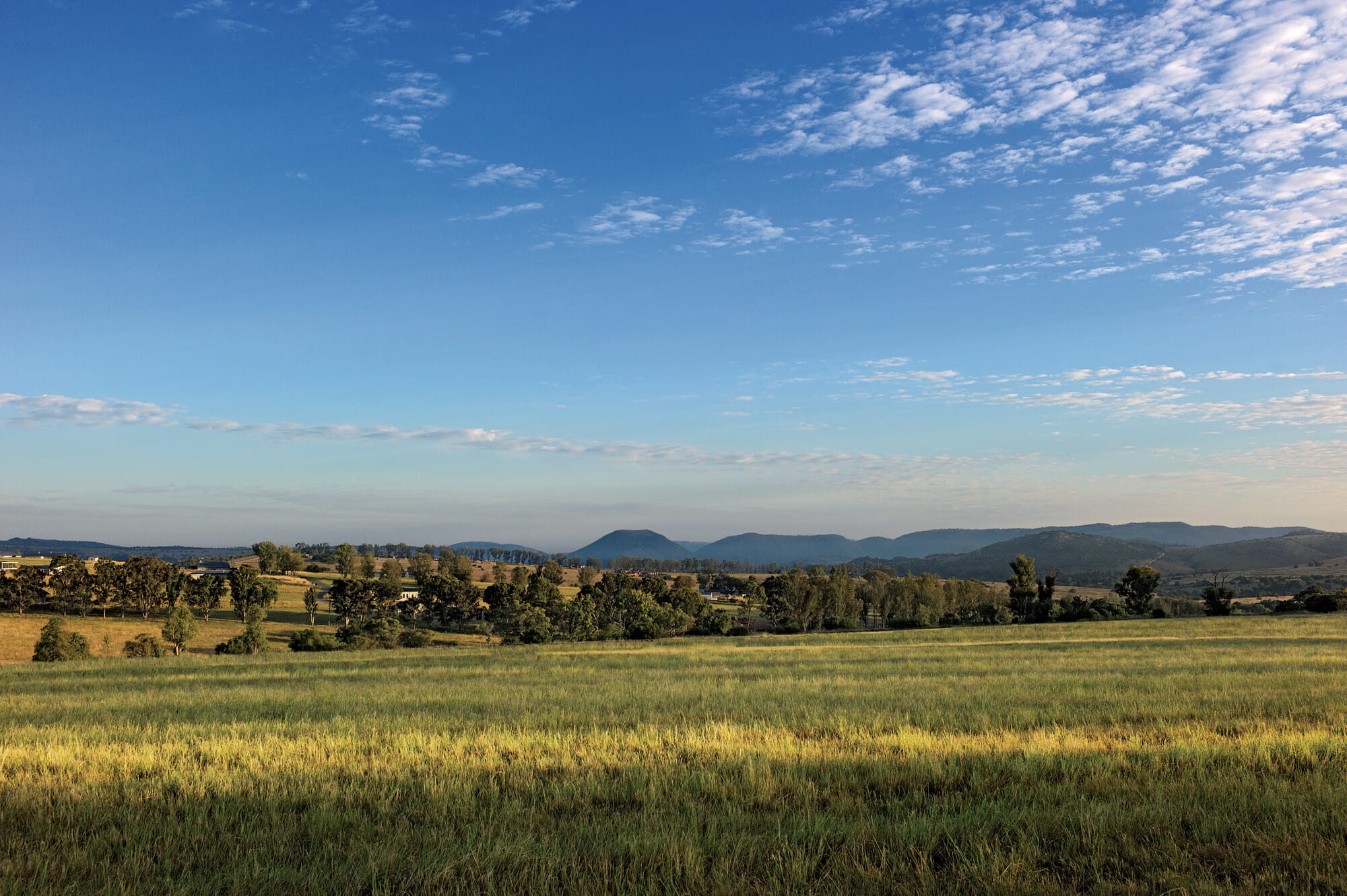 Open grasslands at Monaghan Farm