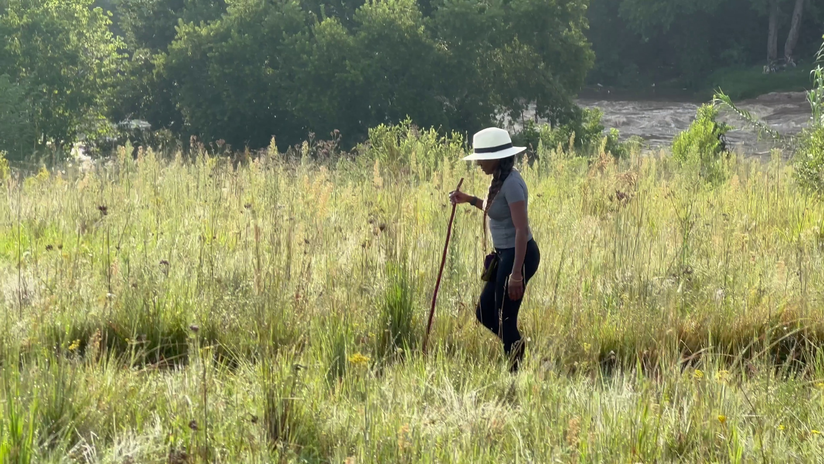 Highveld grassland biodiversity at Monaghan Farm
