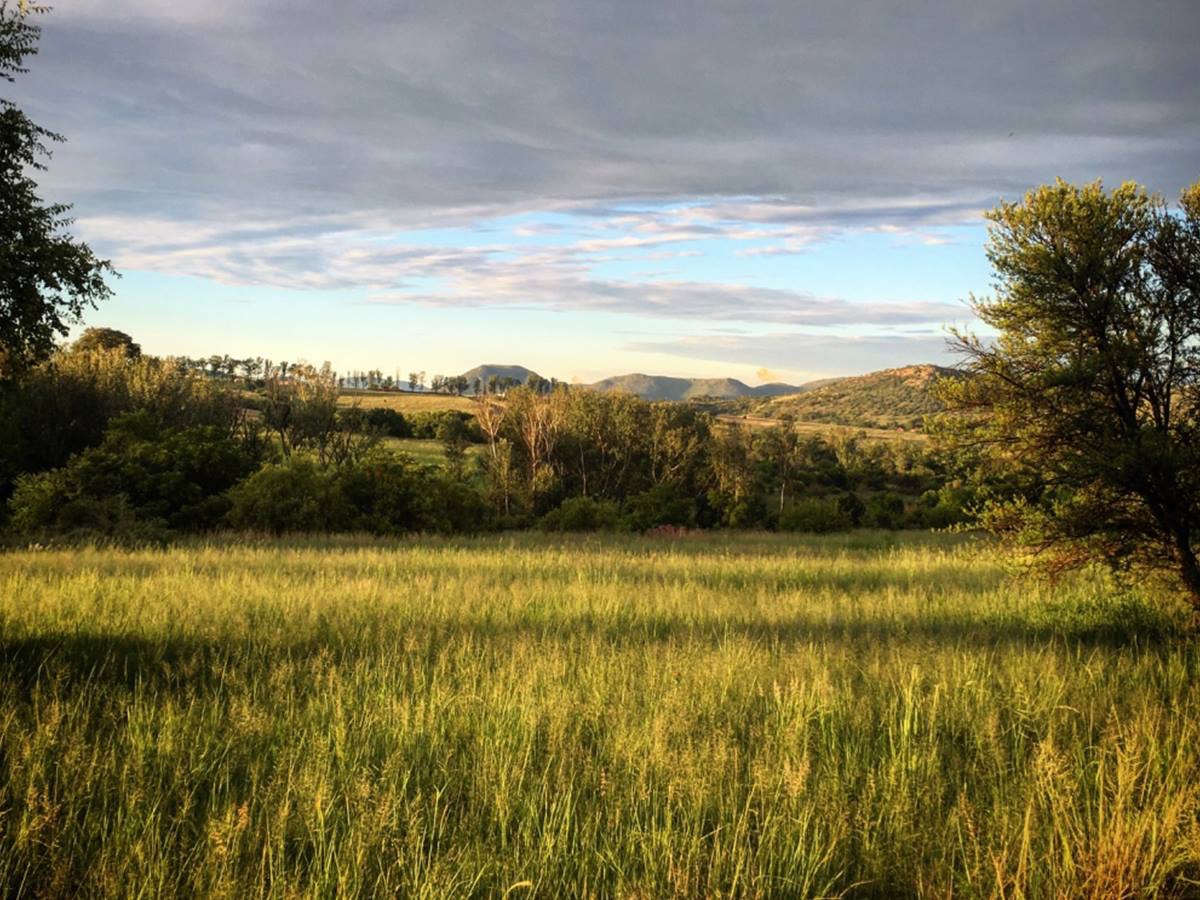 Monaghan Farm natural landscape