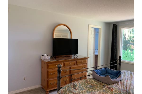 Gallery asset 16 of 28