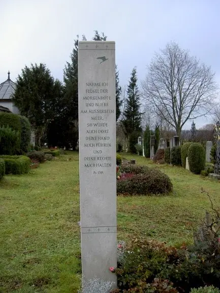 PICT2418 gallery image