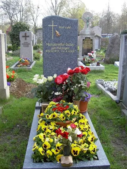 PICT3385 gallery image