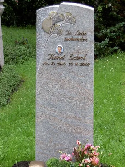 PICT3485 gallery image