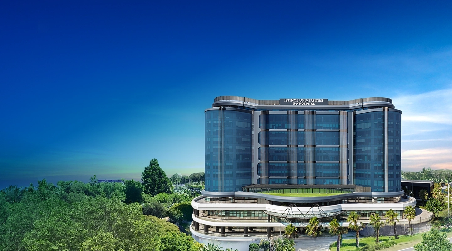Liv Hospital Ulus