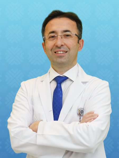 الأستاذ الدكتور أحمد بيليجي
