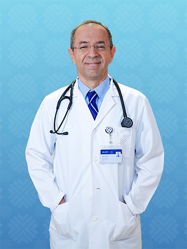 Prof. Dr. Mesut Şeker