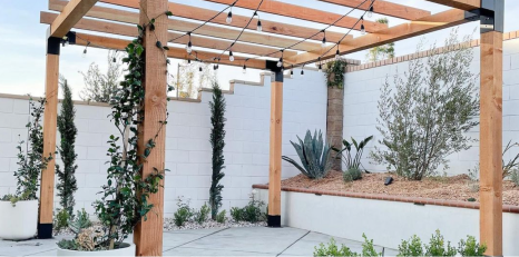 Linx Pergola