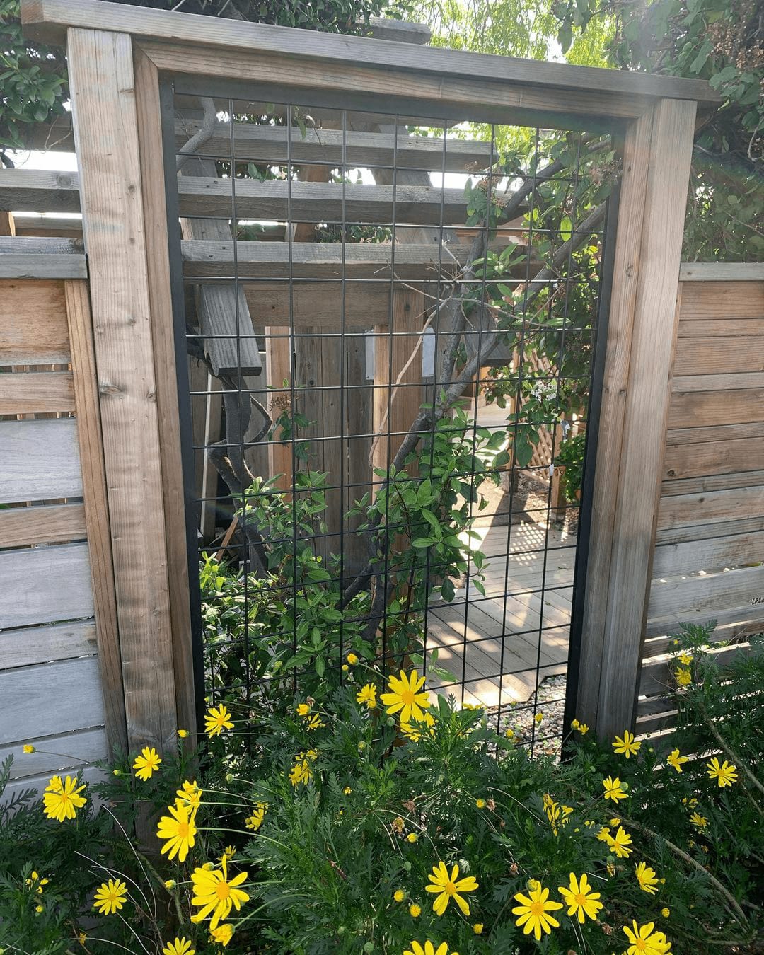 Wild Hog mesh panels incorporated into a wooden fence