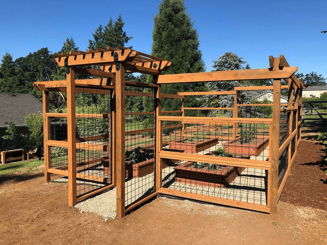 Wild Hog garden enclosure