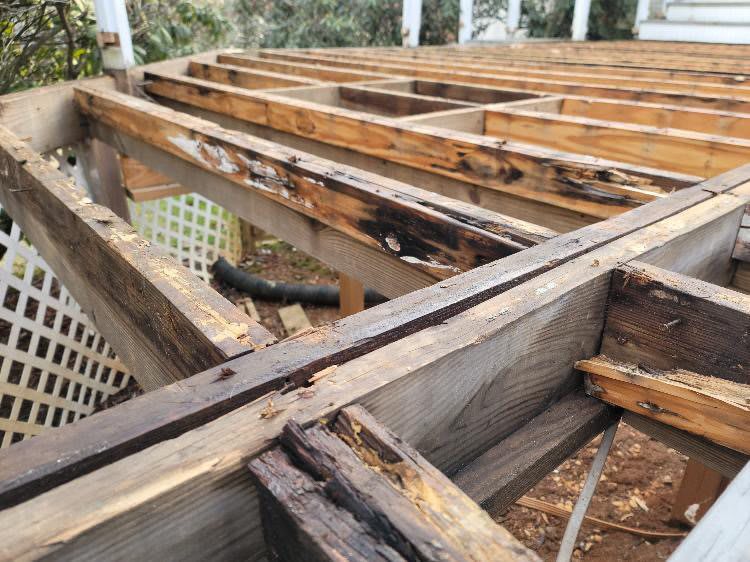 Water dmaaged deck joists