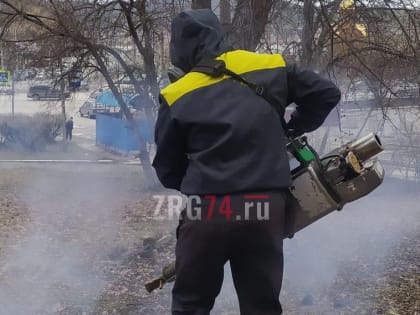 Паразиты не пройдут. В Златоусте парки и школьные территории обрабатывают от клещей