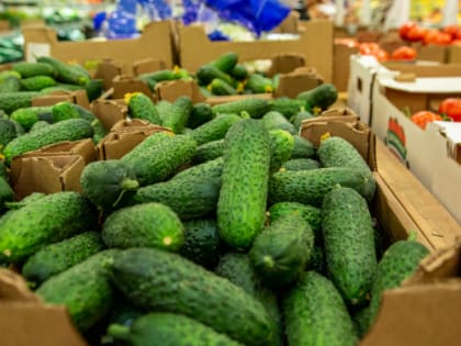 Почему вес стоит, даже если вы на диете, рассказала эндокринолог