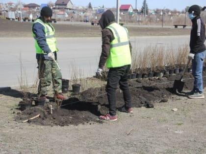 В Магнитогорске начали высаживать деревья и кустарники