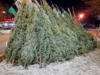 К концу недели в Челябинске откроются более 100 ёлочных базаров
