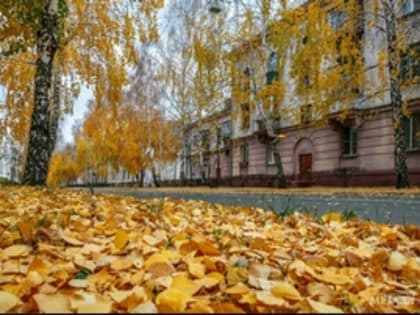 Дожди уйдут, но вернутся