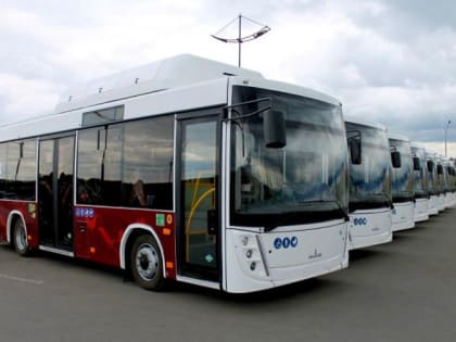 В Магнитогорске маршрутки хотят заменить автобусами