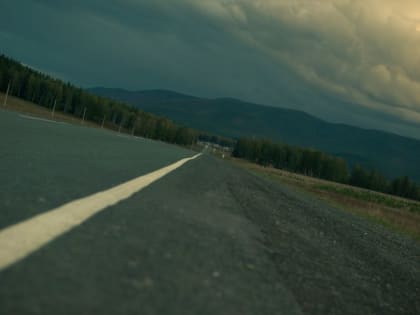 В России увеличат штраф за выброс мусора из машин