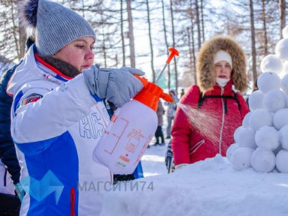 Состязания, выступления и конкурс фигур: успейте подать заявку на Всемирный день снега