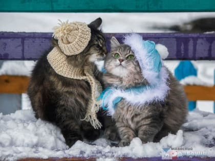 До минус 19 градусов похолодает в Миассе