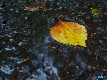 В Челябинской области вновь прогнозируют заморозки