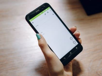 С помощью госуслуг можно будет подтвердить личность