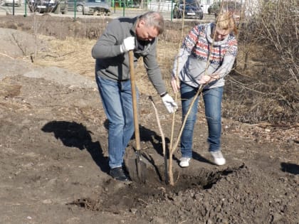 Аллею памяти погибших в СВО заложили в парке Победы