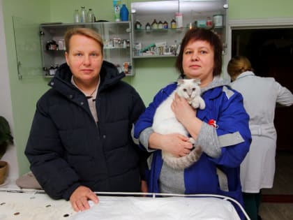 Кусинская ветлечебница уже три месяца работает в новом помещении