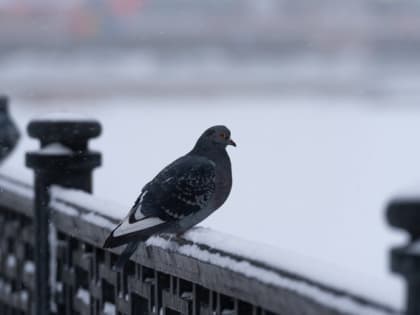 На Южном Урале прогнозируют небольшой снег