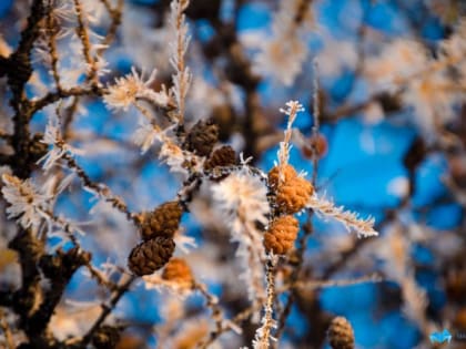 В Магнитогорске в выходные будет солнечно