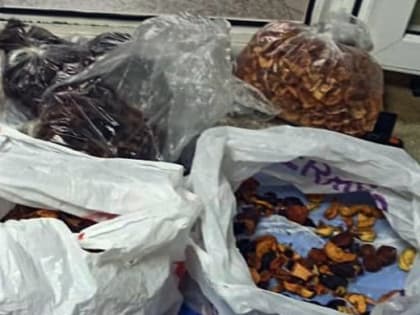 Челябинка пыталась передать в колонию наркотик в сухофруктах