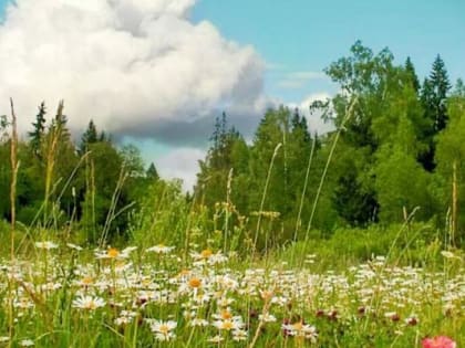 Прогноз погоды на ближайшее время