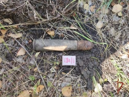 В Троицком районе опять нашли артиллерийский снаряд