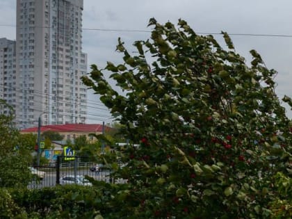 В Челябинске прогнозируют дождь и порывистый ветер
