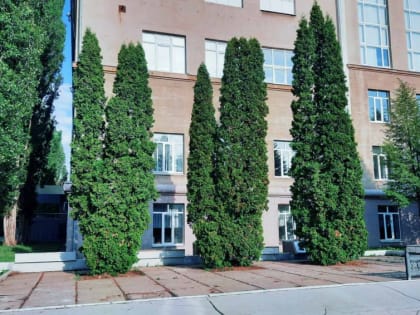 Сегодня теплее